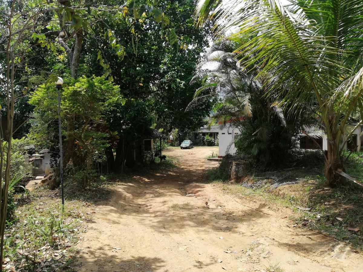 Leaf Guest House Gampola Luaran gambar