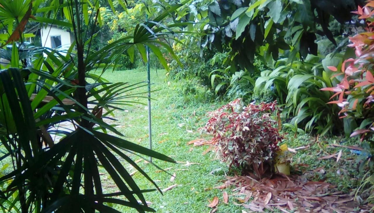 Leaf Guest House Gampola Luaran gambar