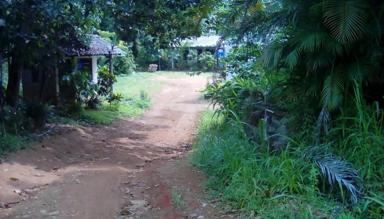 Leaf Guest House Gampola Luaran gambar